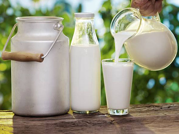 Sữa là nguồn bổ sung vitamin B2
