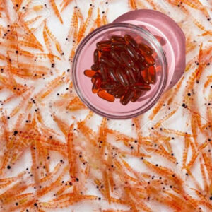 Dầu nhuyễn thể Krill Oil Eikenbi chiết xuất từ tôm Nam Cực